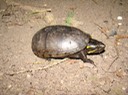 DSC01797