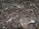 DSC01858