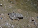 DSC01866