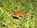 DSC01898