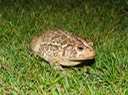 DSC01929