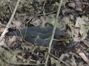 DSC02819