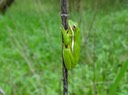 DSC03240