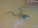 DSC03250
