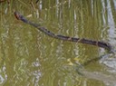 DSC03320