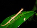 DSC03858