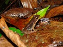 DSC03878