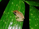 DSC03908