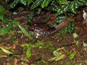DSC03968