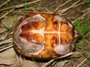 DSC04064