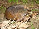 DSC04067
