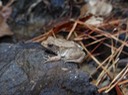 DSC04095