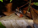 DSC04290