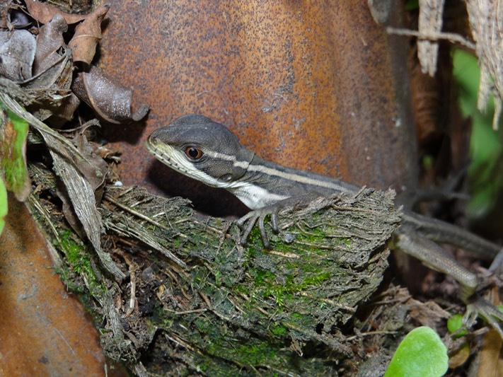 DSC04470