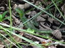 DSC04477