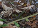 DSC04584