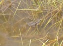 DSC04601