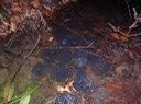 DSC04639