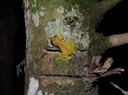 DSC04714