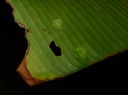 DSC04757