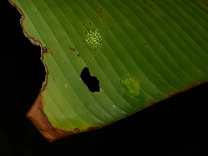 DSC04757