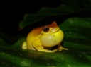 DSC05065