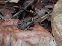 DSC05256