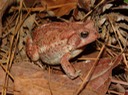 DSC05358