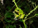 DSC05388