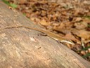 DSC05536 (2)