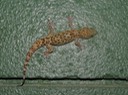 DSC05670