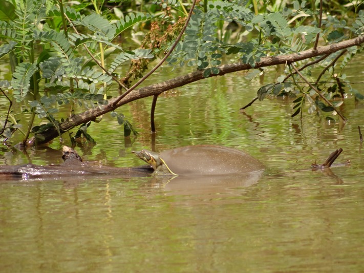 DSC05706