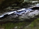 DSC05978