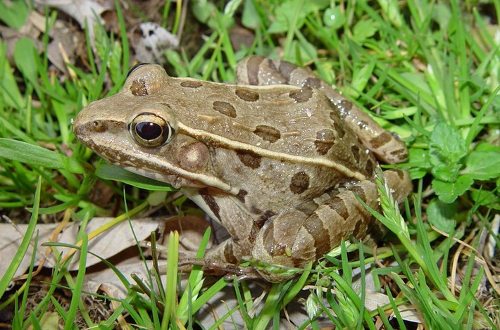 DSC06244