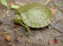 DSC06960