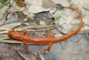 DSC07061 ELUC COL