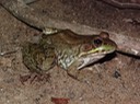 DSC07977