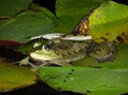 DSC08286
