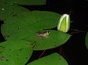 DSC08290