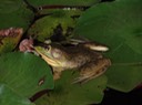 DSC08296