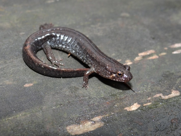 DSC08334
