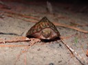 DSC08390