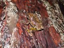 DSC08808 (2)