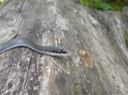 DSC09435