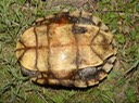 DSC09603
