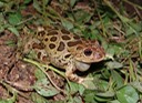 DSC09608 (2)