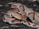 DSC09670