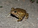 DSC09798 (2)