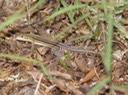 DSC09827