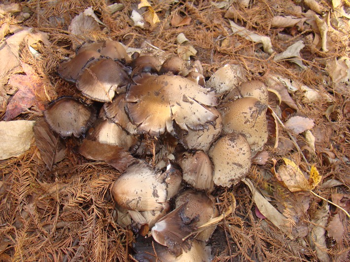 DSC09947